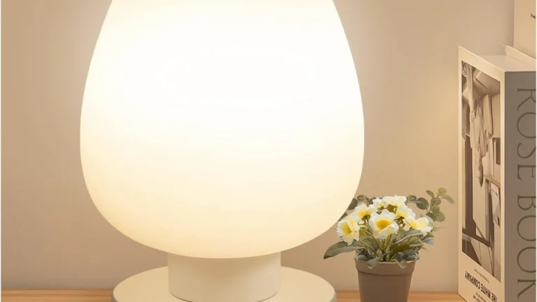 ONEWISH Small Bedside Lamp Review: Compact and Warm