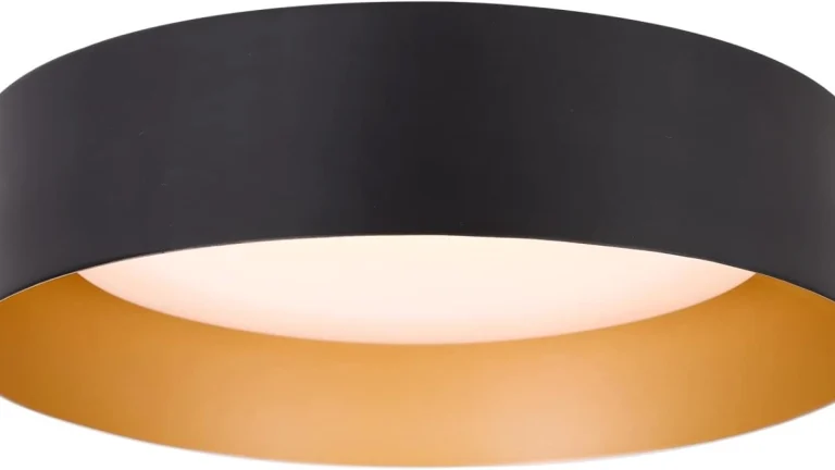 Flush Mount Ceiling Light Review: Modern, Dimmable Style
