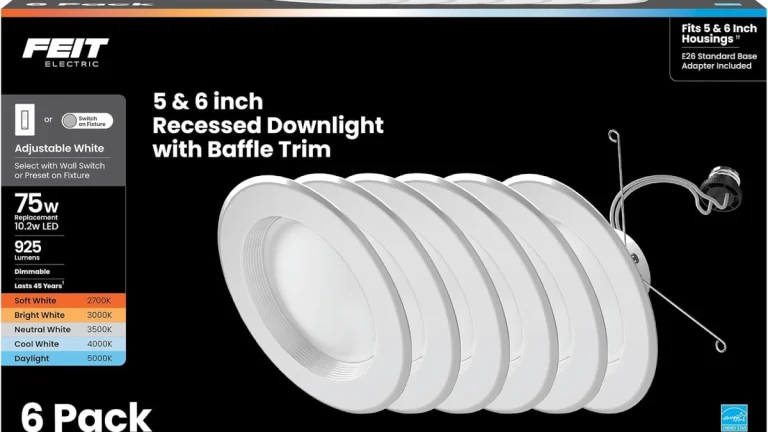 Feit Electric 5/6in LED Review: Adjustable Recessed Light